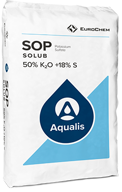 SOP Solub 0&#8288-0&#8288-50 (+18S)