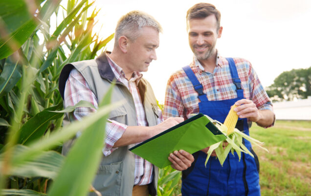 Λιπάσματα ενισχυμένης απόδοσης-(EEF/Enhanced efficiency fertilizers)-έξυπνες λύσεις για υψηλές απαιτήσεις