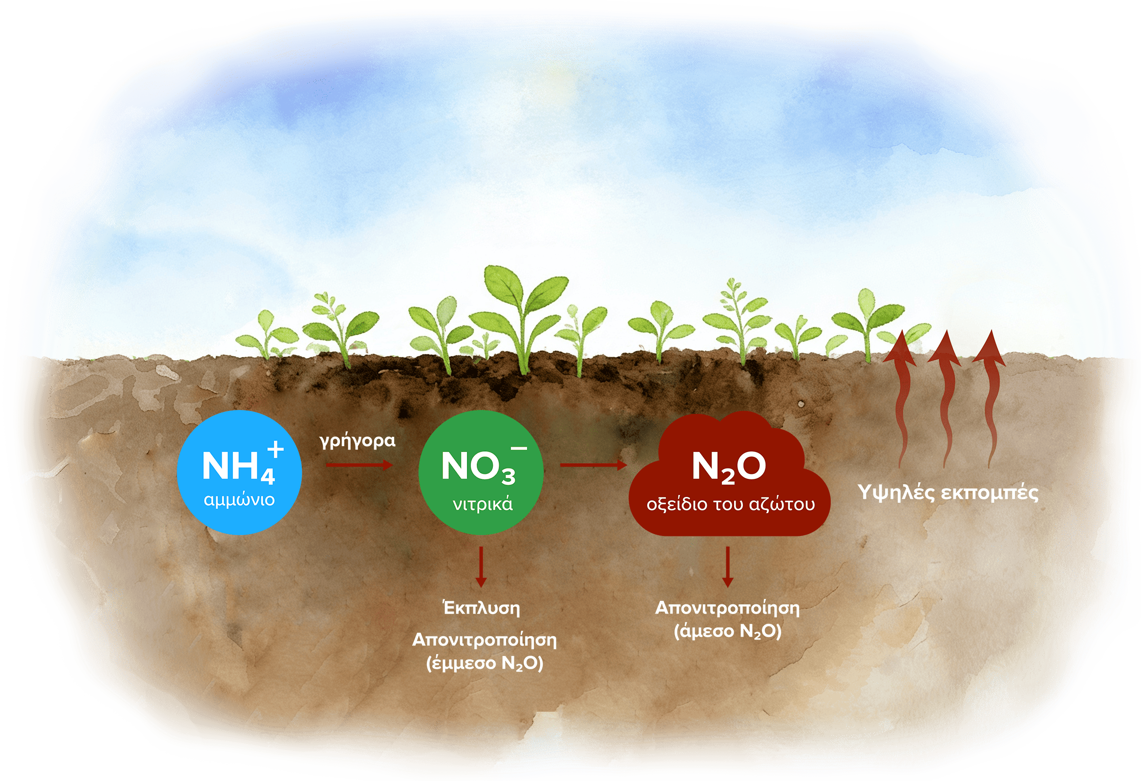 Soil without nitrification inhibitor