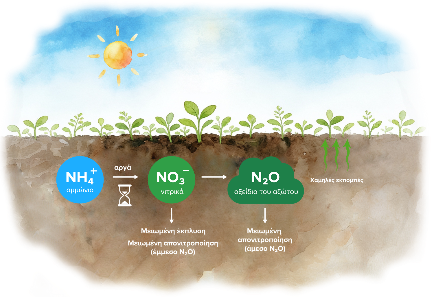 Soil with nitrification inhibitor